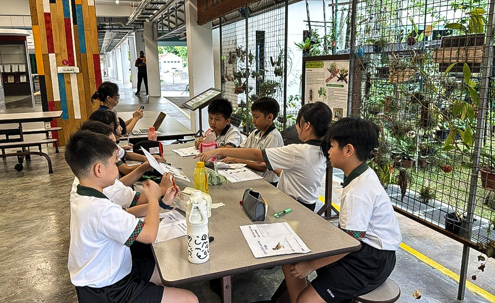 Our P5 Cub Scouts getting to know more about the birds that they have seen in the school.